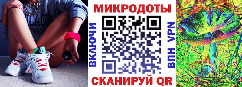как найти закладки  Спасск-Дальний  Псилоцибиновые грибы Cubensis 